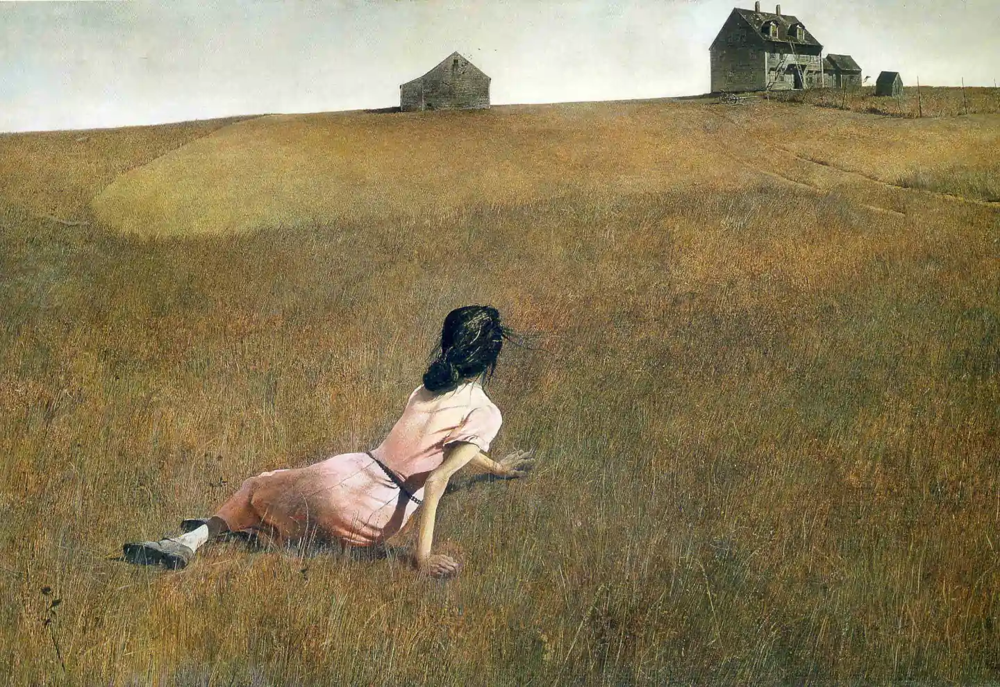 Il dipinto "Christina's world" di Andrew Wyeth raffigura una giovane donna in un abito rosa distesa in un campo arido, mentre guarda verso una casa colonica lontana sotto un cielo vasto e aperto.